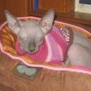 Meet your Posher, Tara